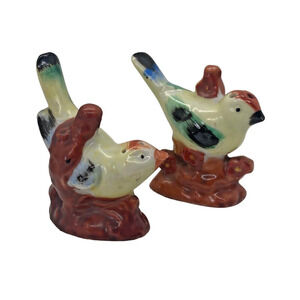 Vintage Colorful Small Song Birds Salt and Pepper Shakers Made in Japan SET Of 2